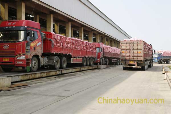 恒行6-品质新履历,专选恒行6