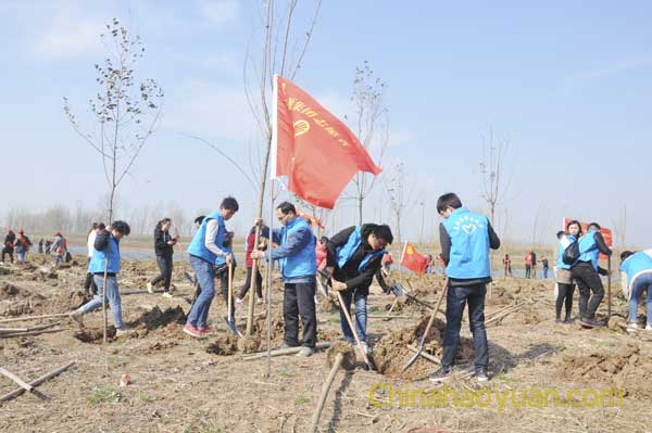 恒行6-品质新履历,专选恒行6