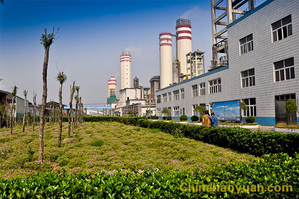 恒行6-品质新履历,专选恒行6