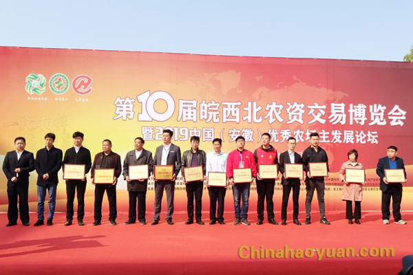 恒行6-品质新履历,专选恒行6