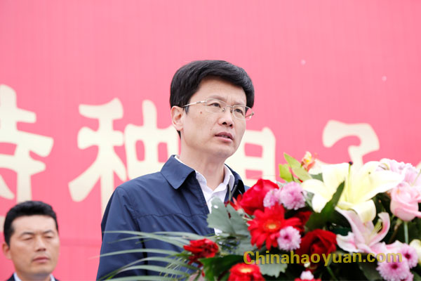 恒行6-品质新履历,专选恒行6