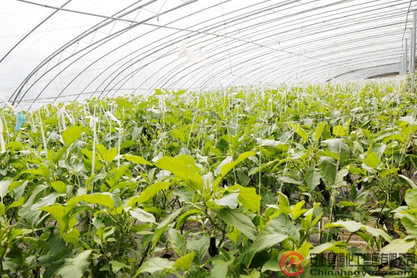 恒行6-品质新履历,专选恒行6