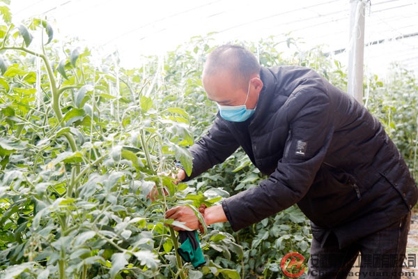 恒行6-品质新履历,专选恒行6