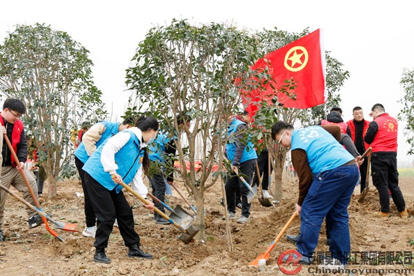恒行6-品质新履历,专选恒行6