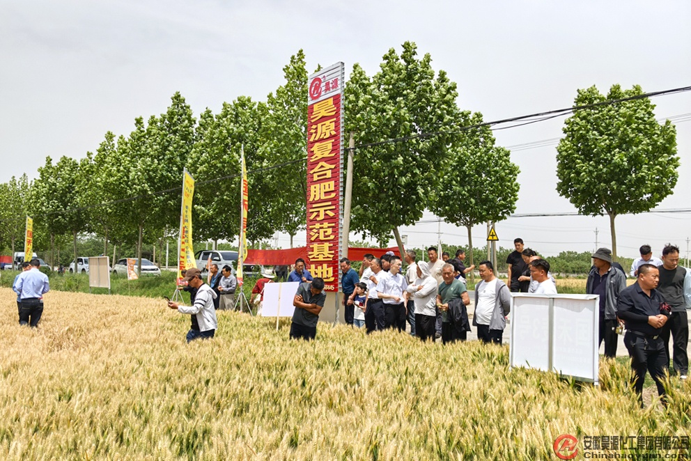 恒行6-品质新履历,专选恒行6