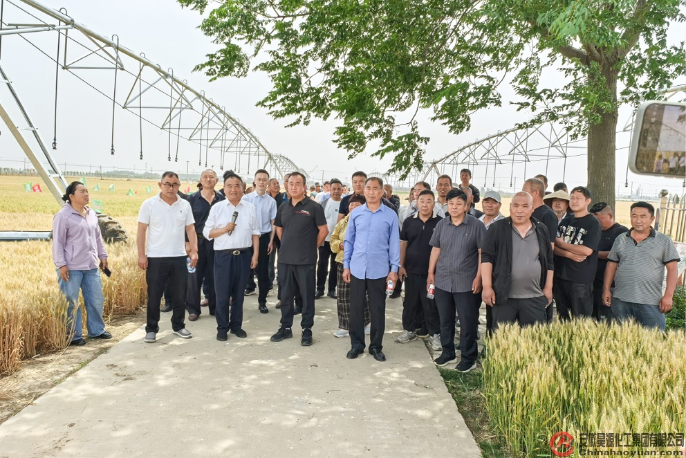 恒行6-品质新履历,专选恒行6