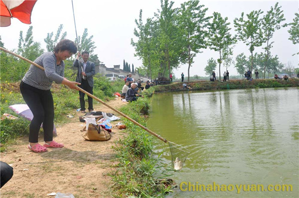 恒行6-品质新履历,专选恒行6