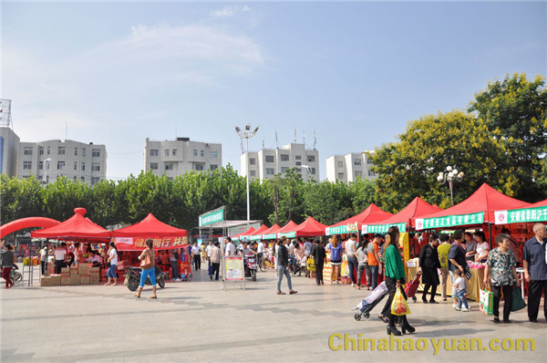 恒行6-品质新履历,专选恒行6