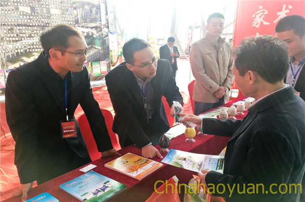 恒行6-品质新履历,专选恒行6