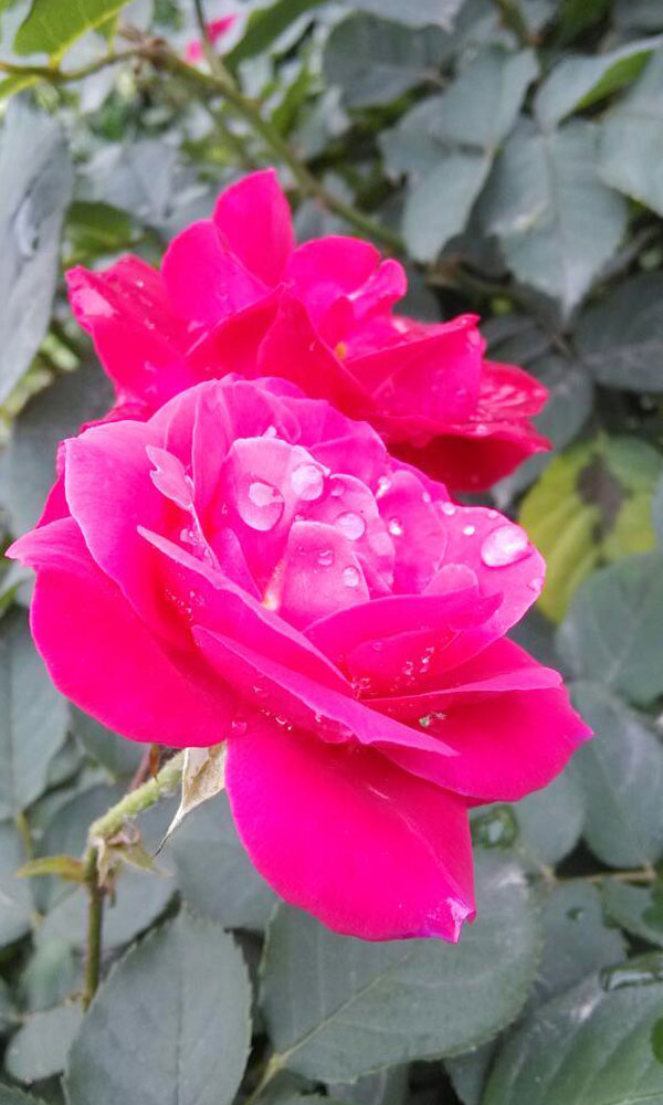 恒行6-品质新履历,专选恒行6