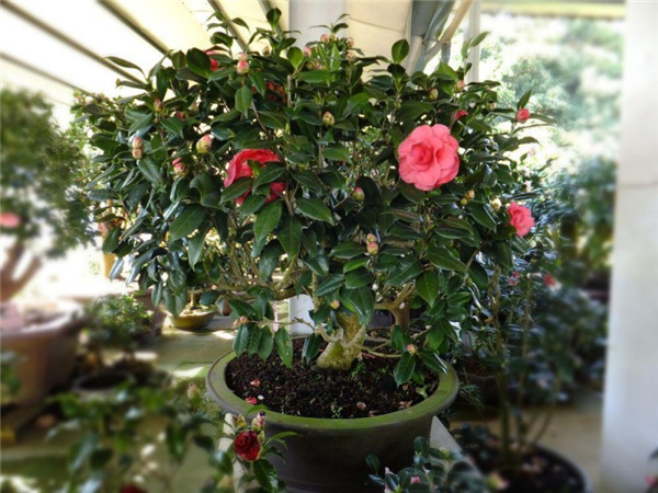 恒行6-品质新履历,专选恒行6