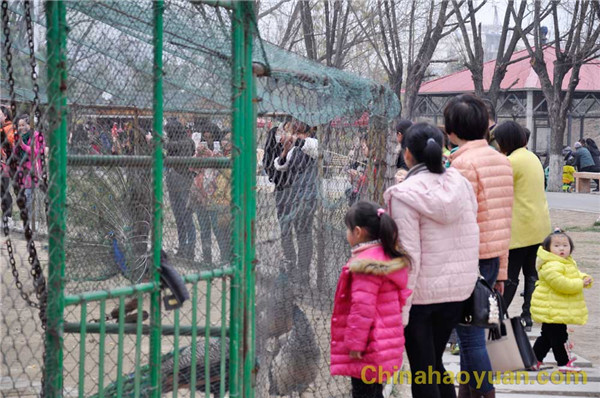 恒行6-品质新履历,专选恒行6