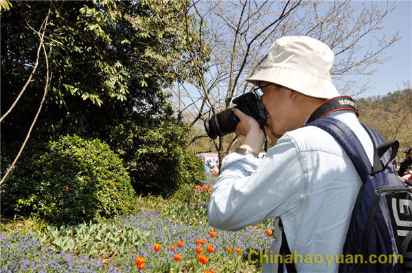 恒行6-品质新履历,专选恒行6