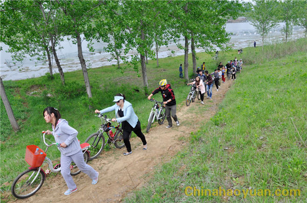 恒行6-品质新履历,专选恒行6