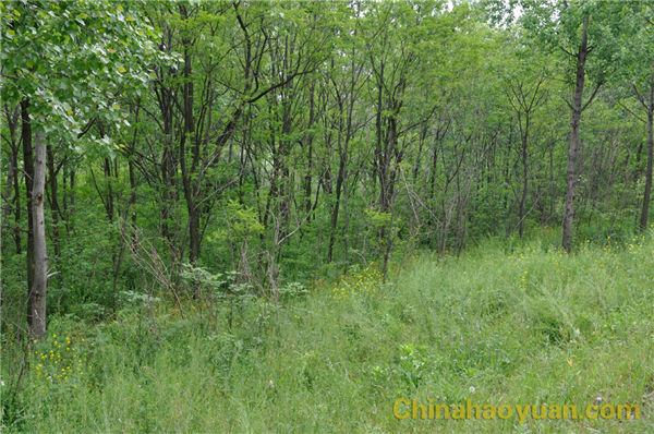 恒行6-品质新履历,专选恒行6