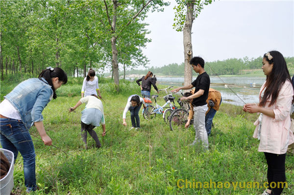 恒行6-品质新履历,专选恒行6