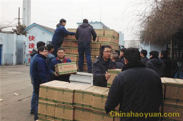 恒行6-品质新履历,专选恒行6