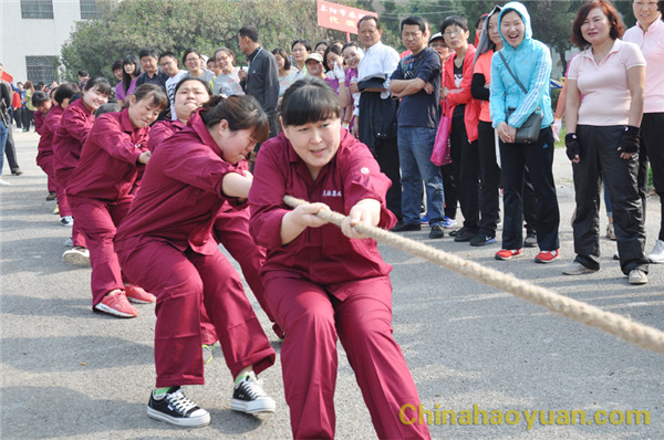 恒行6-品质新履历,专选恒行6