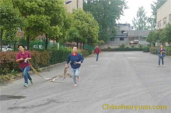 恒行6-品质新履历,专选恒行6