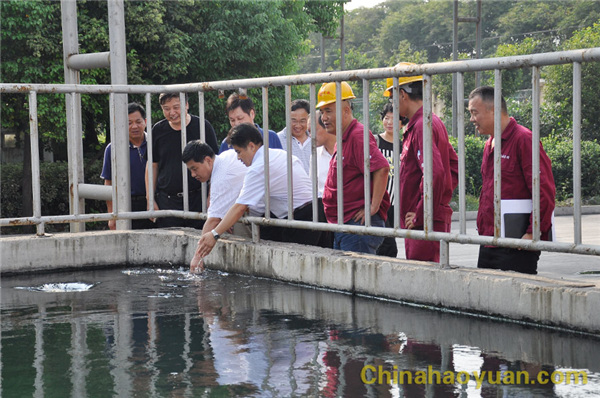 恒行6-品质新履历,专选恒行6