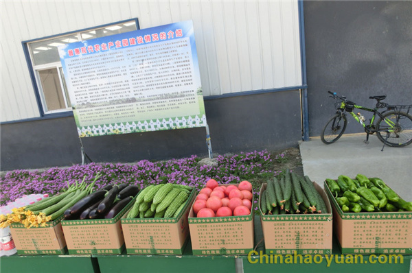 恒行6-品质新履历,专选恒行6