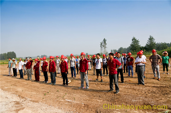 恒行6-品质新履历,专选恒行6