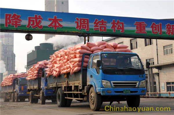 恒行6-品质新履历,专选恒行6