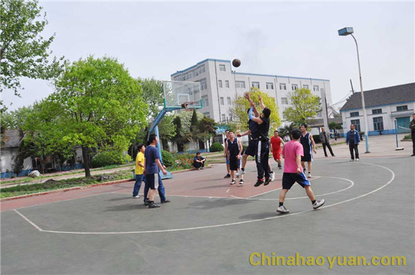 恒行6-品质新履历,专选恒行6