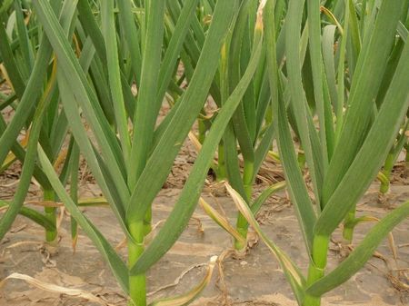 恒行6-品质新履历,专选恒行6